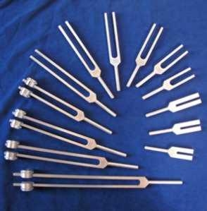 Tuning Forks of all differet sizes